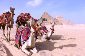 Day Trip to Pyramids from Cairo