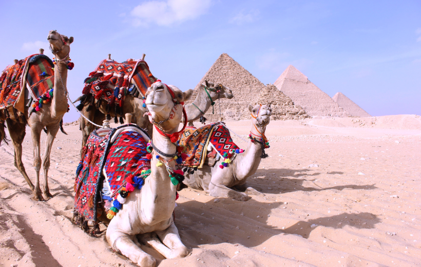 Day Trip to Pyramids from Cairo